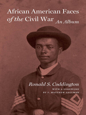 cover image of African American Faces of the Civil War